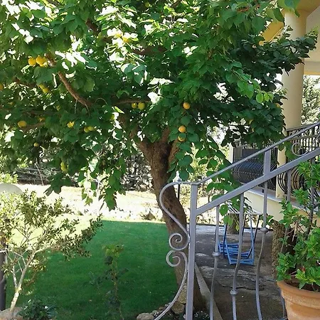 Anna Rita Alghero Bed & Breakfast *